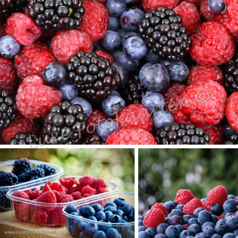 Blanco Algemeen - Rood fruit